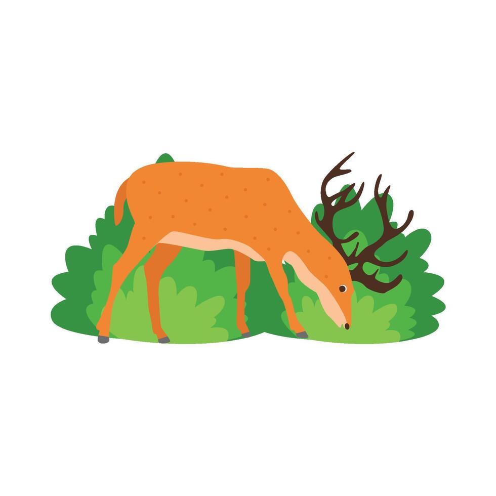 illustration de cerf vecteur