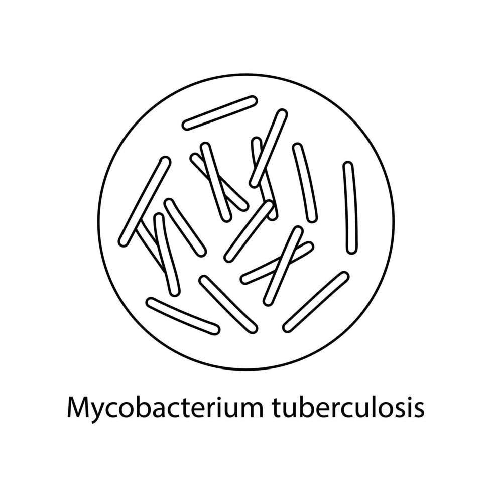 pathogène bactéries. bactérien micro-organisme. microbiologie, infographies. main tiré griffonnage style. vecteur