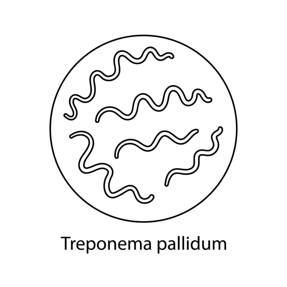 pathogène bactéries. bactérien micro-organisme. microbiologie, infographies. main tiré griffonnage style. vecteur