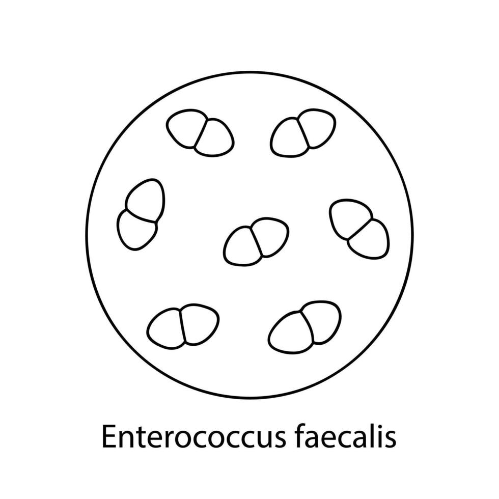 pathogène bactéries. bactérien micro-organisme. microbiologie, infographies. main tiré griffonnage style. vecteur