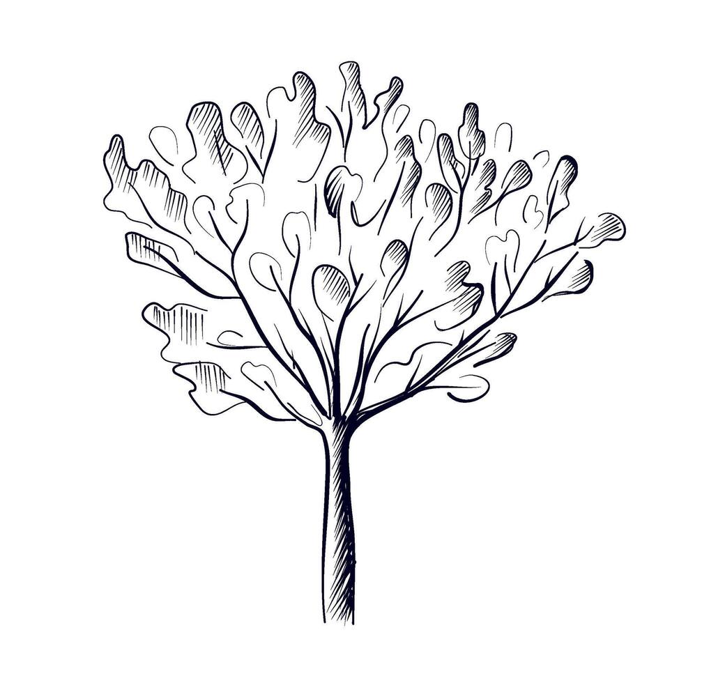 main dessin de une arbre vecteur illustration