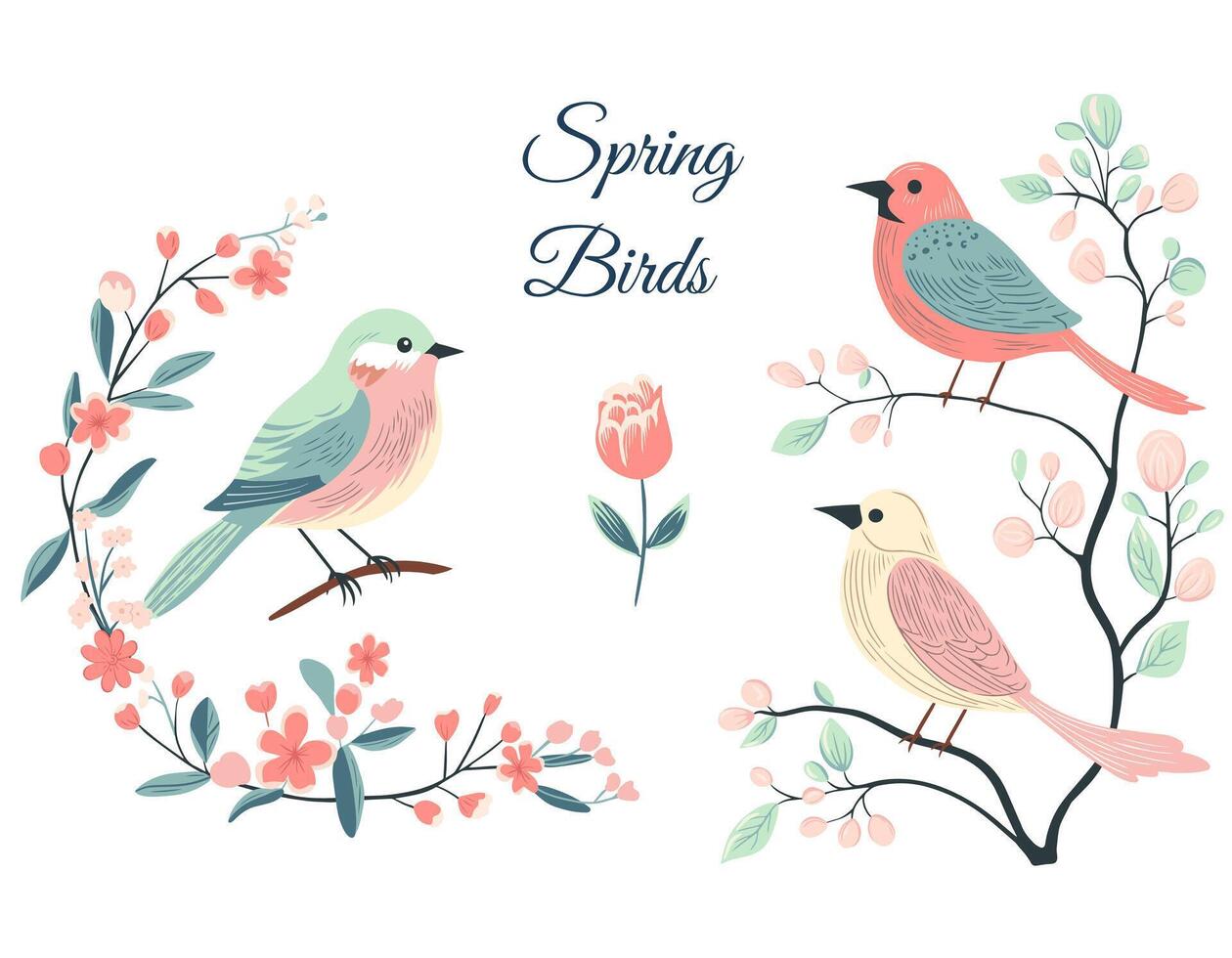 coloré des oiseaux sur différent branches. printemps et été temps. main tiré vecteur illustration