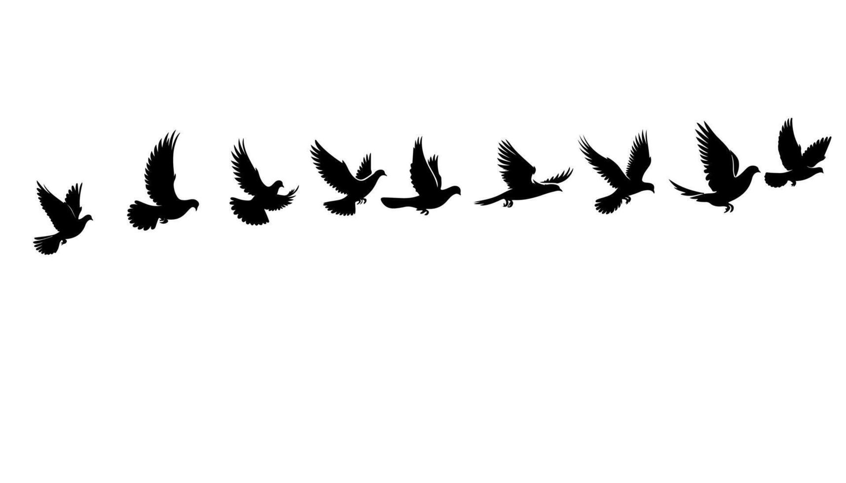 Colombe des oiseaux ou pigeons groupe vol silhouette horizontal vecteur illustration sur blanc Contexte