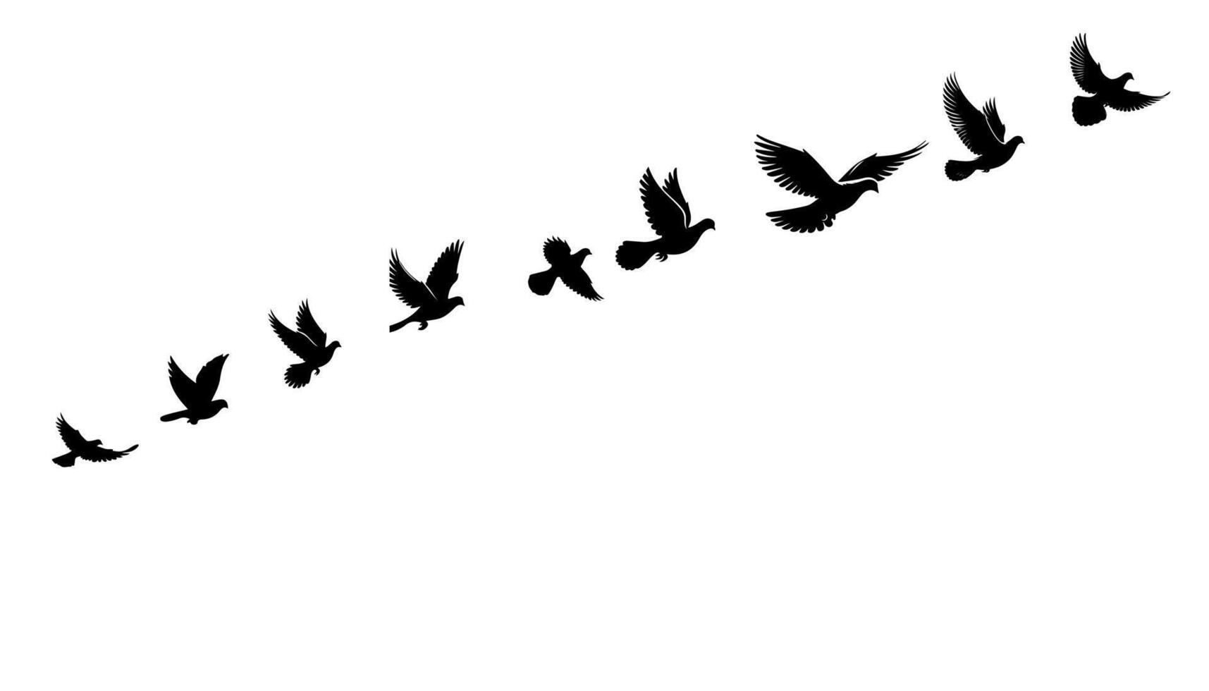 Colombe des oiseaux ou pigeons groupe vol silhouette horizontal vecteur illustration sur blanc Contexte