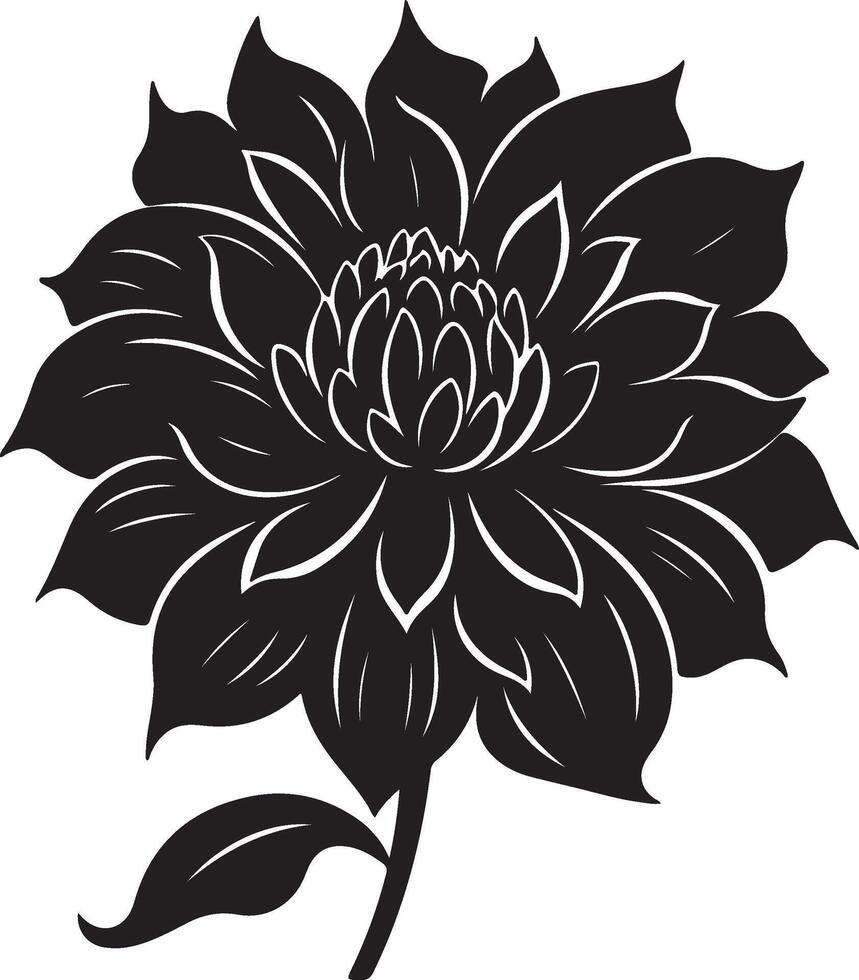 dahlia fleur silhouette vecteur illustration blanc Contexte