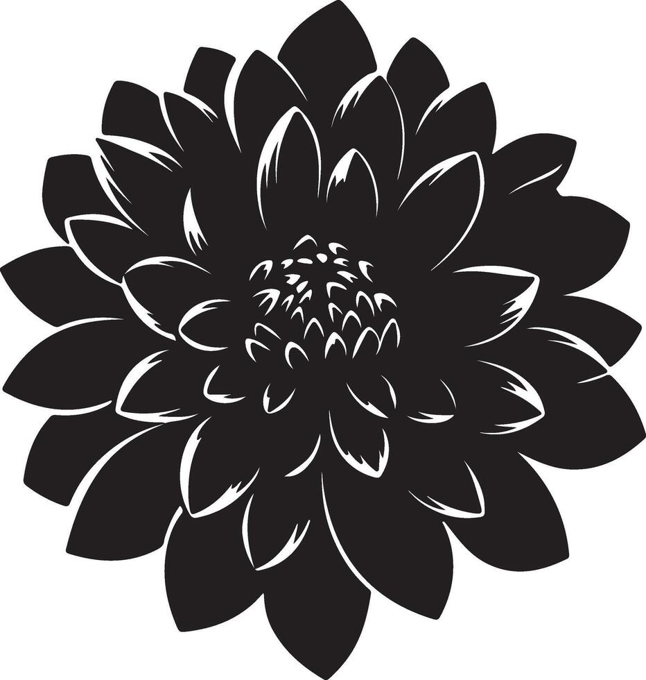 dahlia fleur silhouette vecteur illustration blanc Contexte