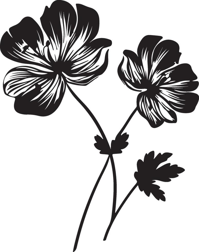 géranium fleur silhouette vecteur illustration blanc Contexte