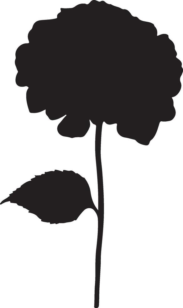 hortensia fleur silhouette vecteur illustration blanc Contexte