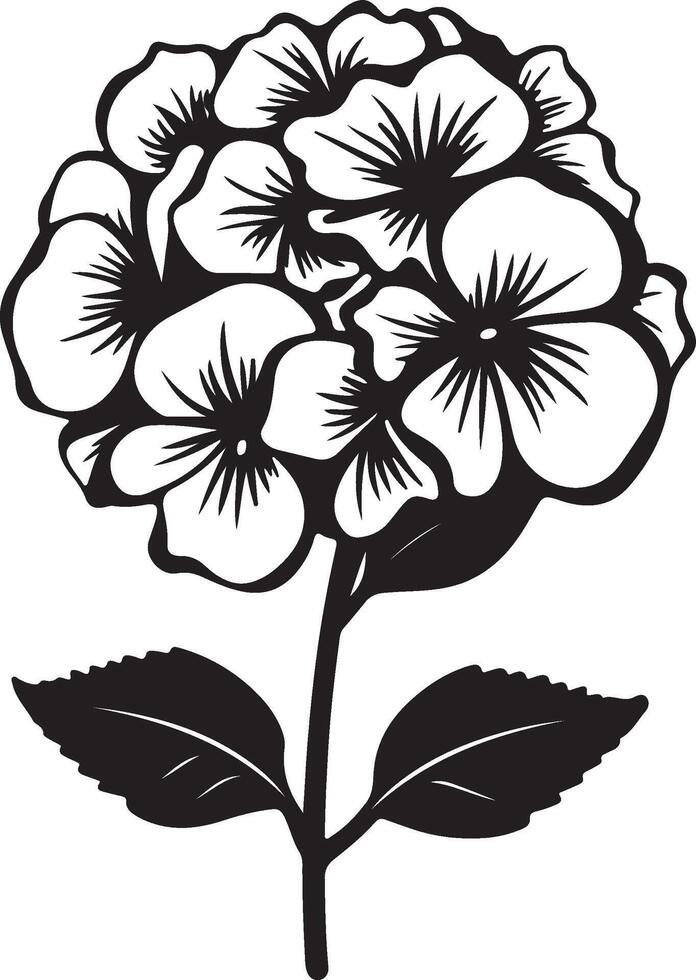 hortensia fleur silhouette vecteur illustration blanc Contexte