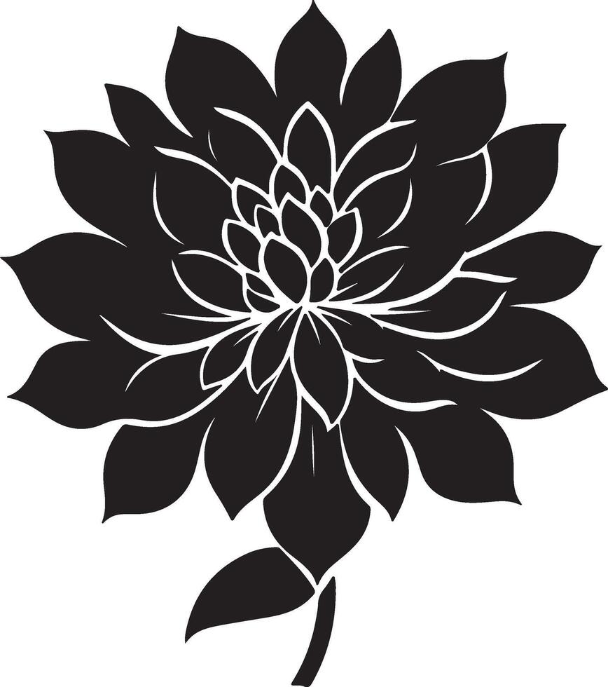 dahlia fleur silhouette vecteur illustration blanc Contexte