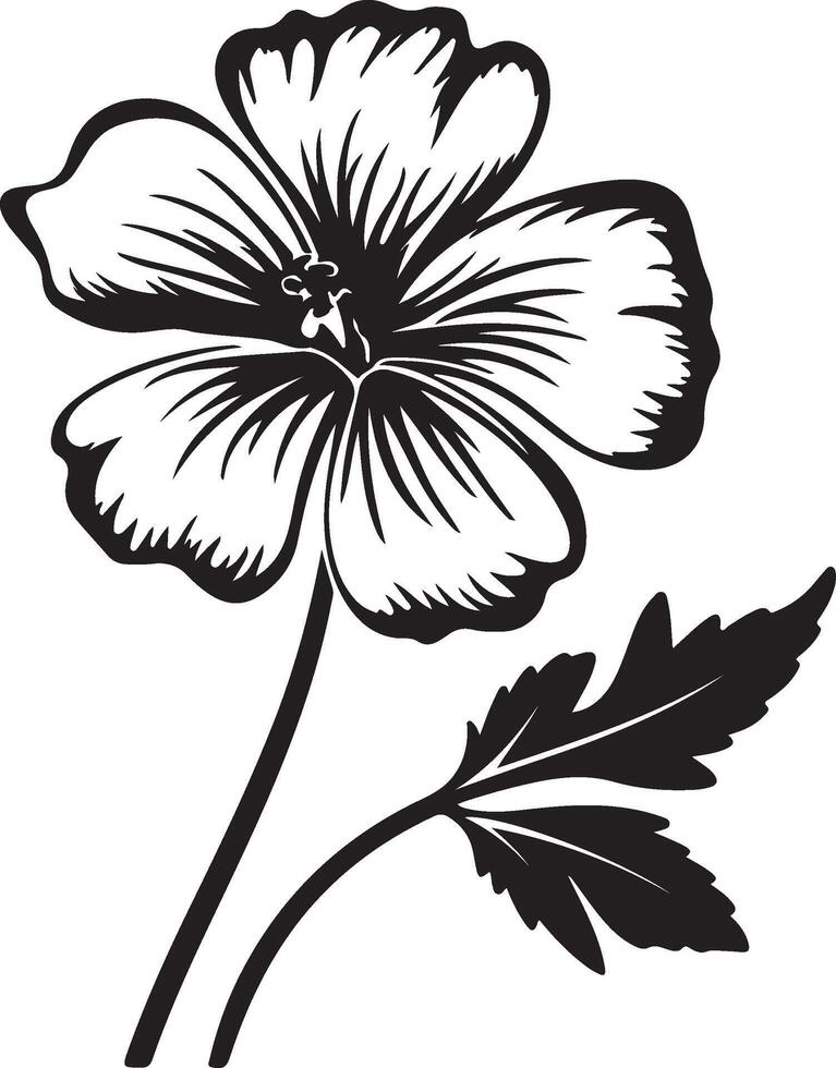 géranium fleur silhouette vecteur illustration blanc Contexte