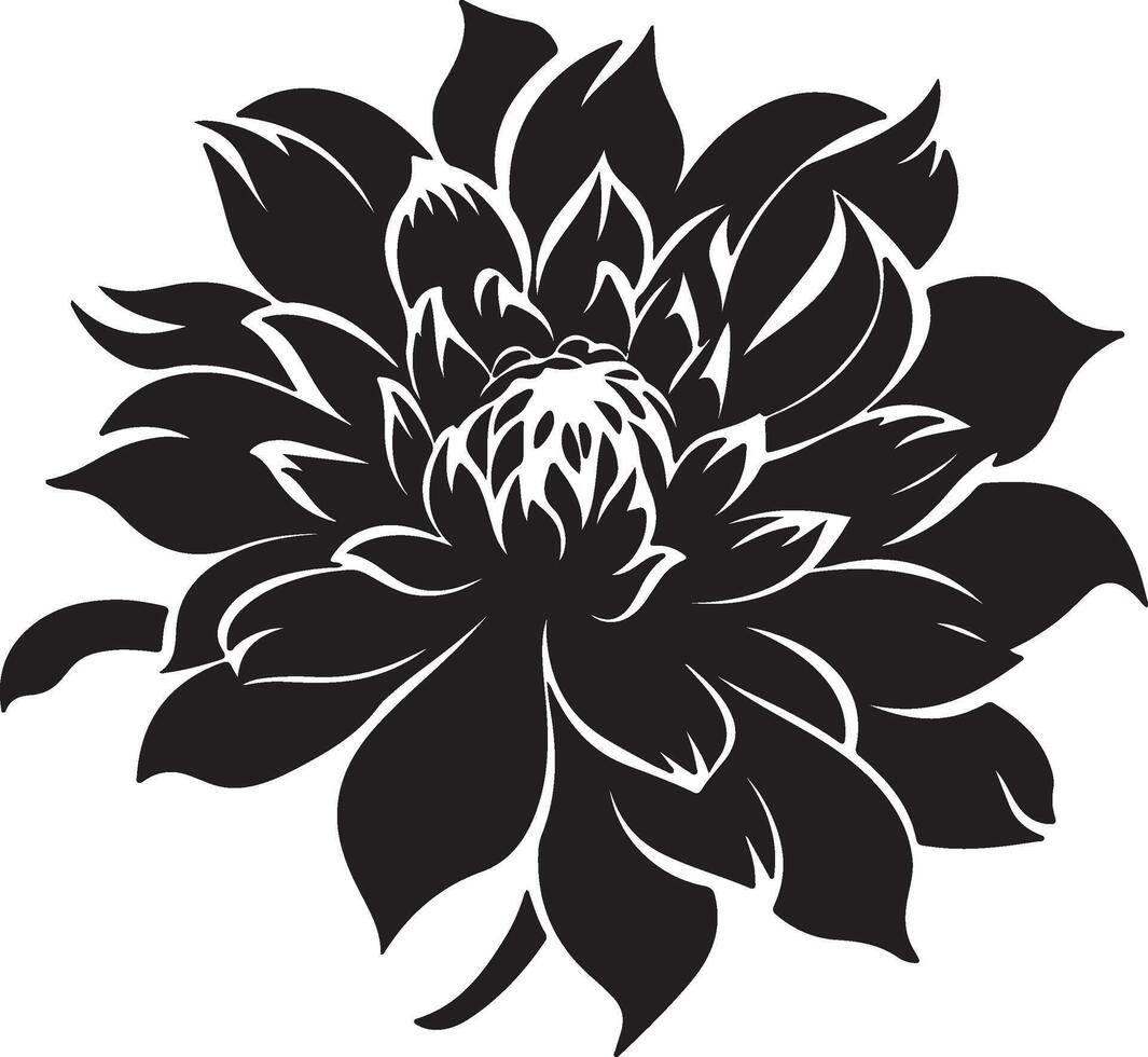 dahlia fleur silhouette vecteur illustration blanc Contexte