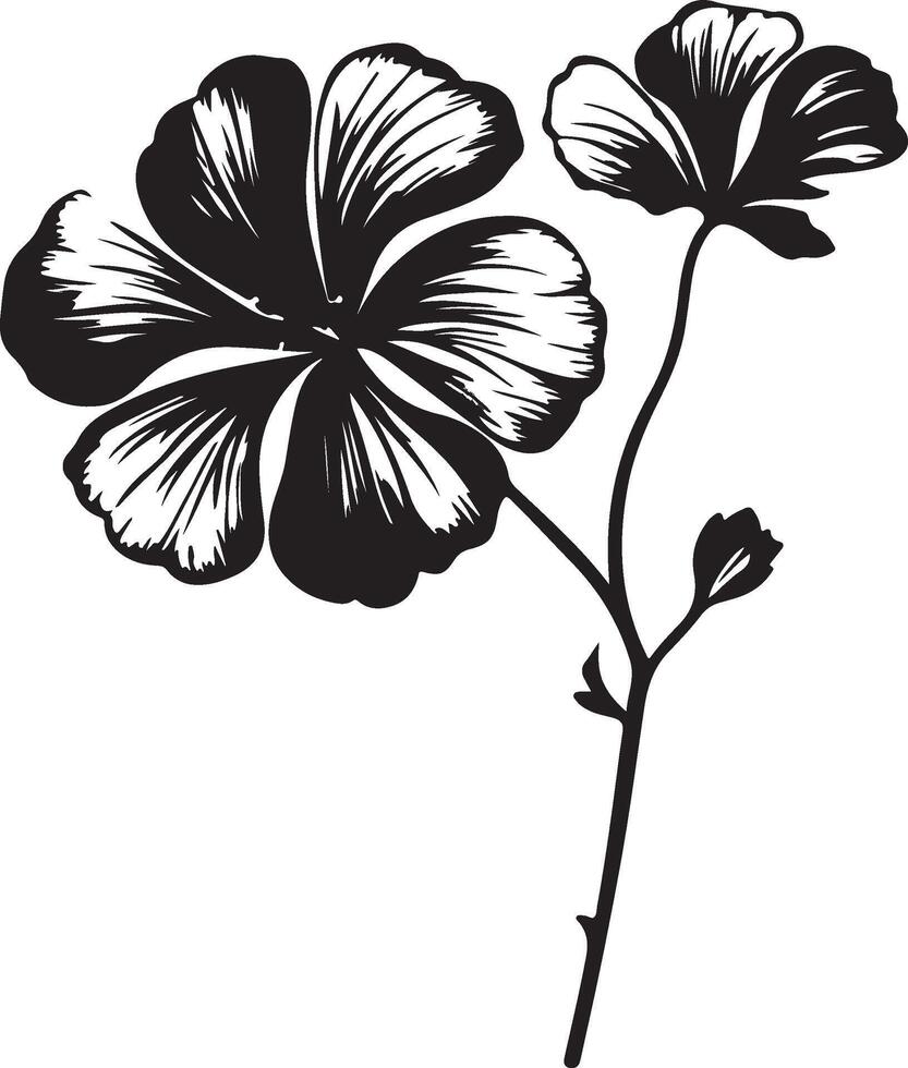 géranium fleur silhouette vecteur illustration blanc Contexte