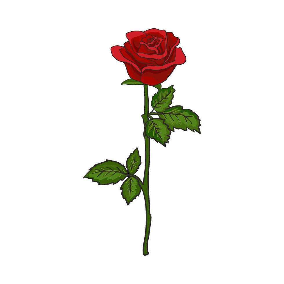 main tiré vecteur illustration de une rouge Rose fleur