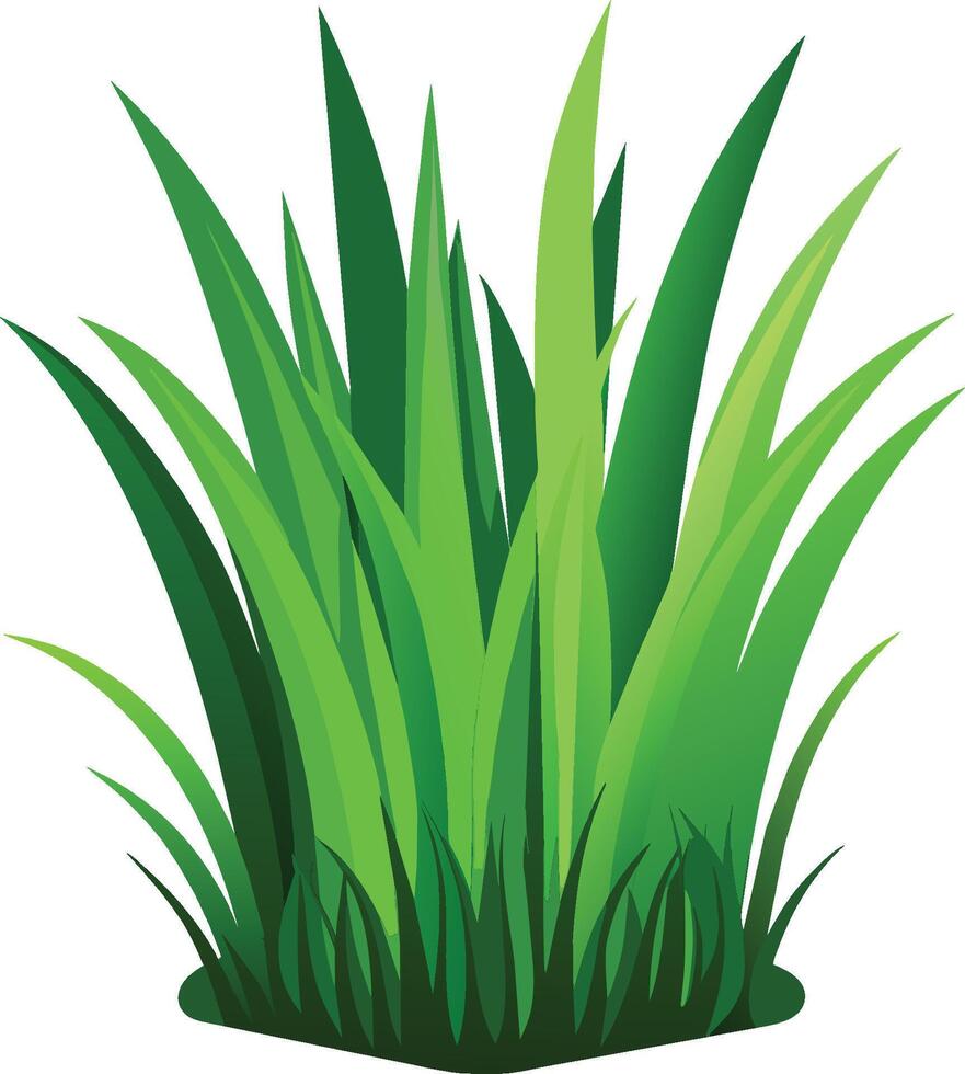 illustration vectorielle d'herbe verte vecteur