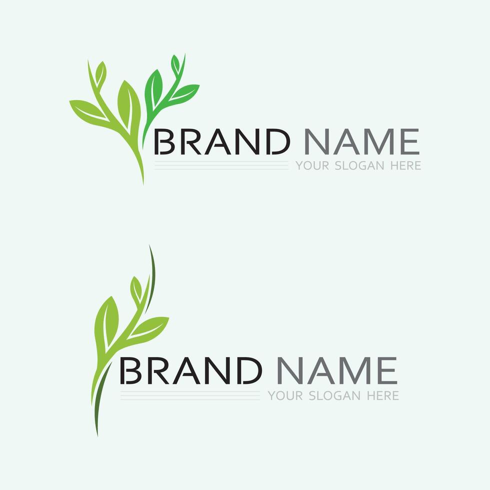 vecteur de conception de logo de feuille pour le modèle de symbole de nature modifiable, icône de vecteur d'élément de nature d'écologie de logo de feuille verte.