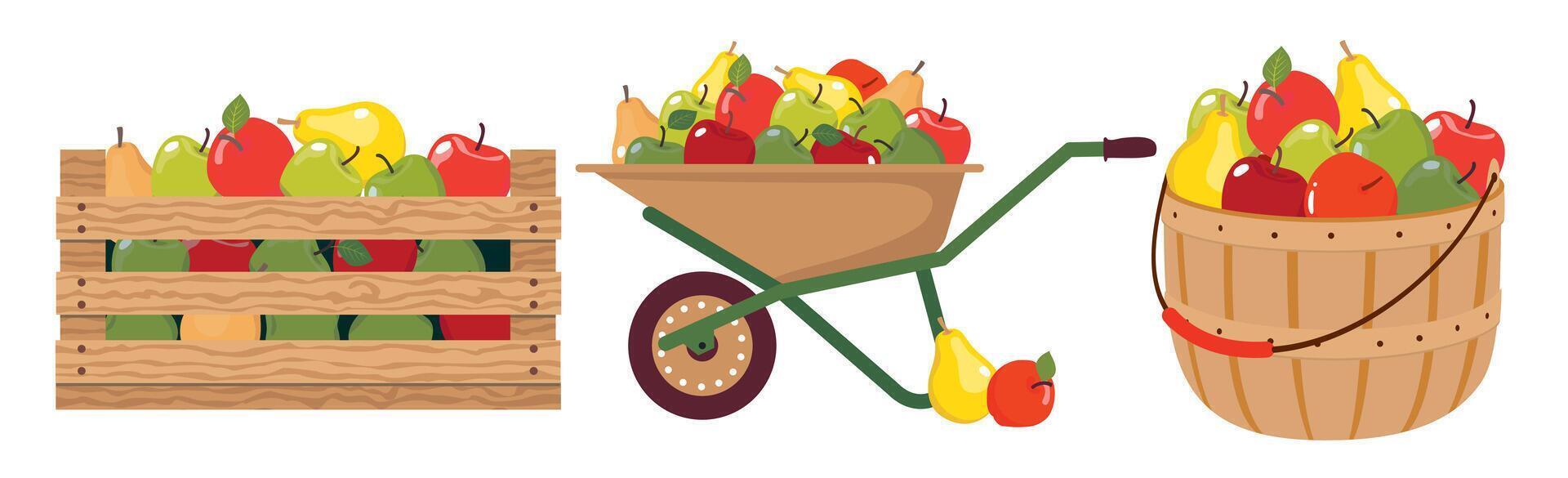 une ensemble de ferme des fruits dans une panier, boîte, Chariot. divers jardin conteneurs avec pommes et des poires. vecteur illustré clipart.