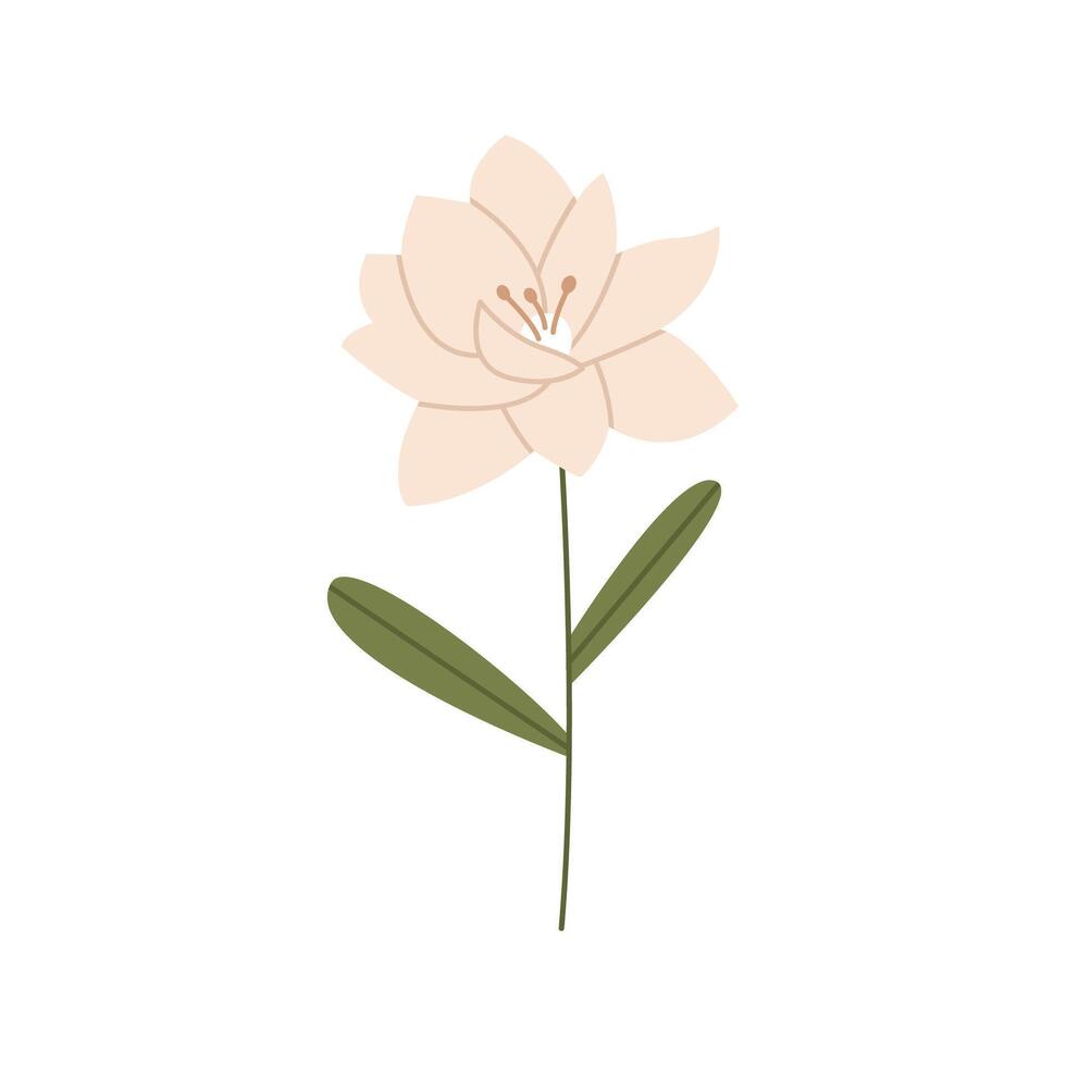 pivoine fleur illustration vecteur