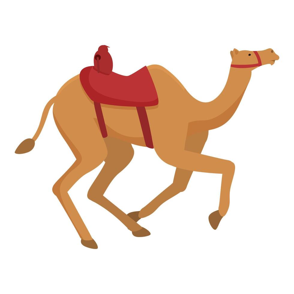 uni émirats icône dessin animé vecteur. activité chameau sport vecteur
