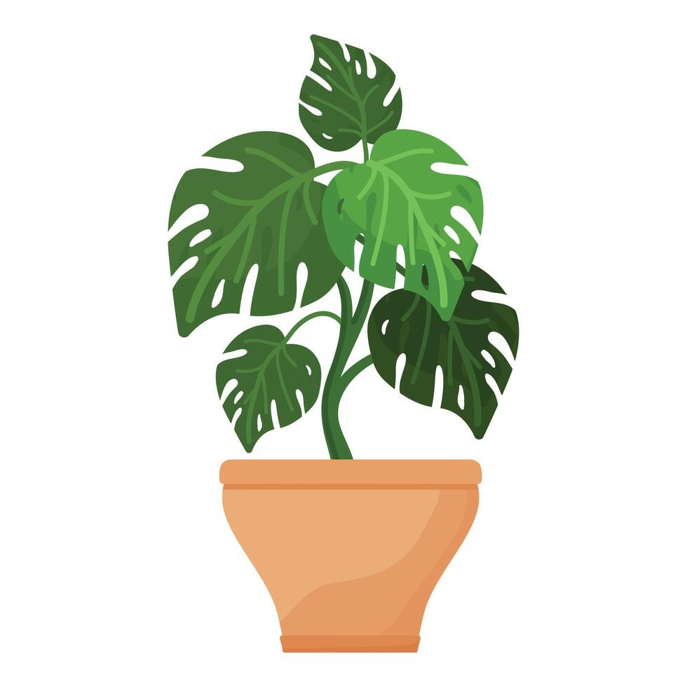 monstera plante pot icône dessin animé vecteur. tropical plante vecteur