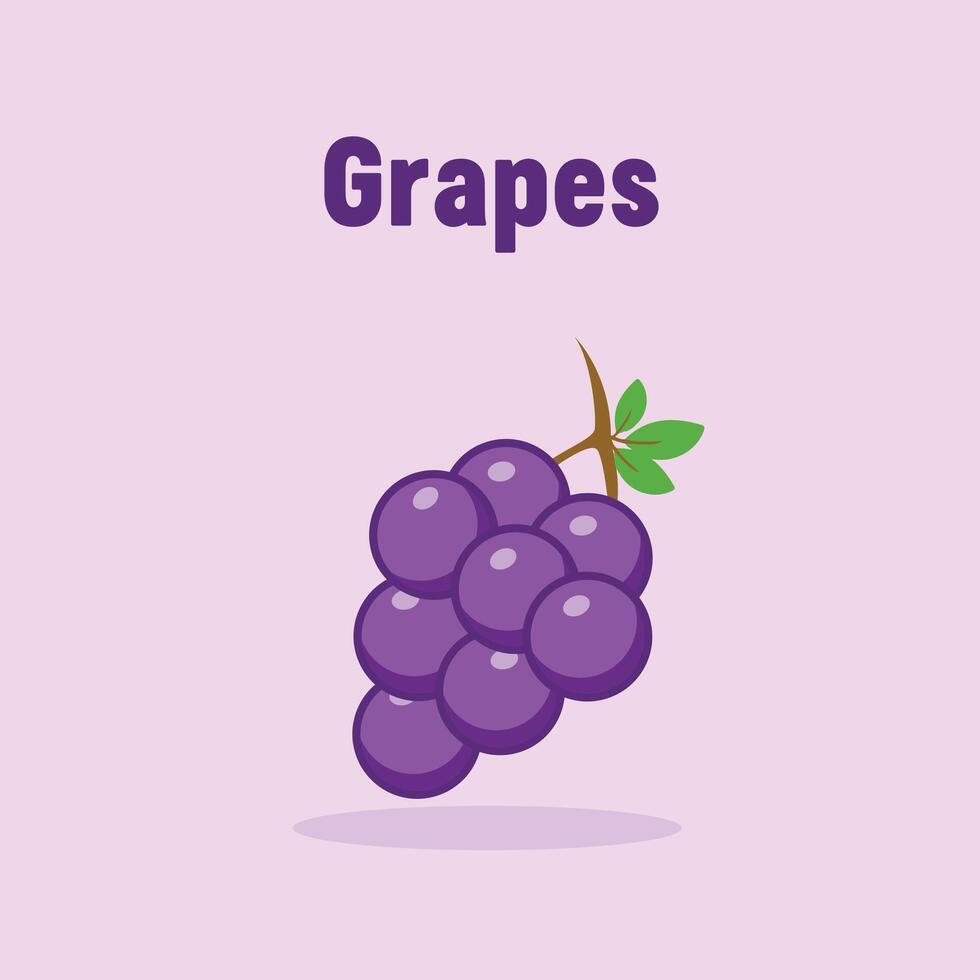 les raisins moderne vecteur icône illustration