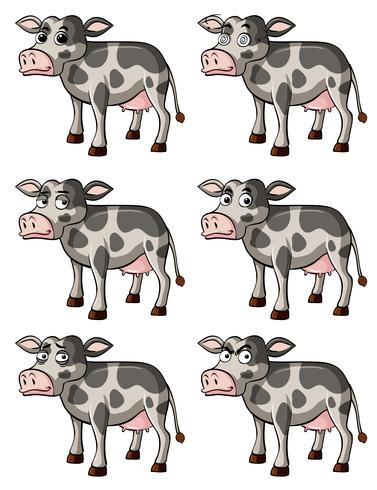 Vache avec différentes expressions faciales vecteur