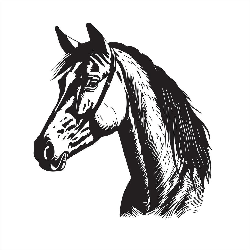 cheval silhouette animal logo noir les chevaux graphique vecteur illustration