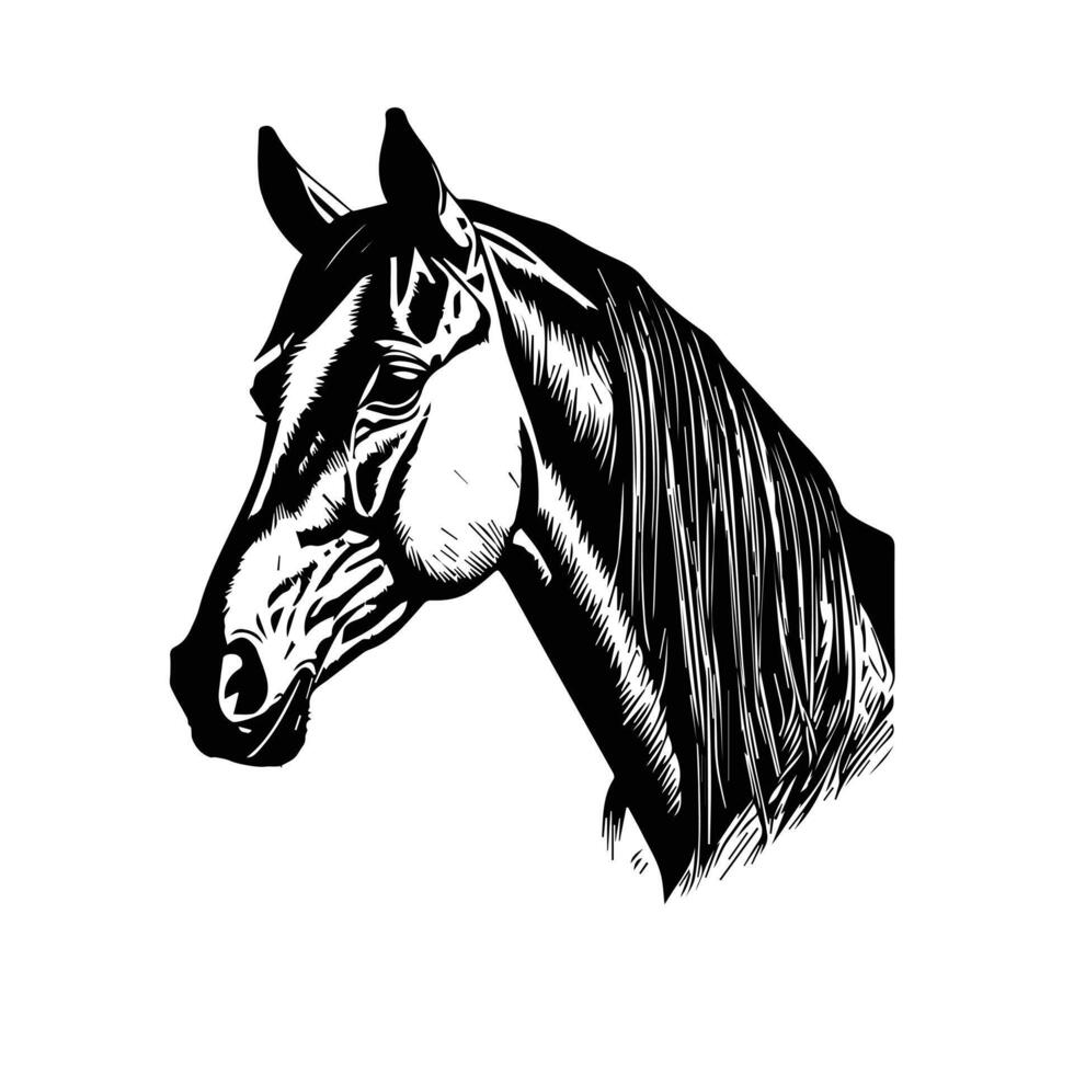 cheval silhouette animal noir les chevaux graphique vecteur illustration