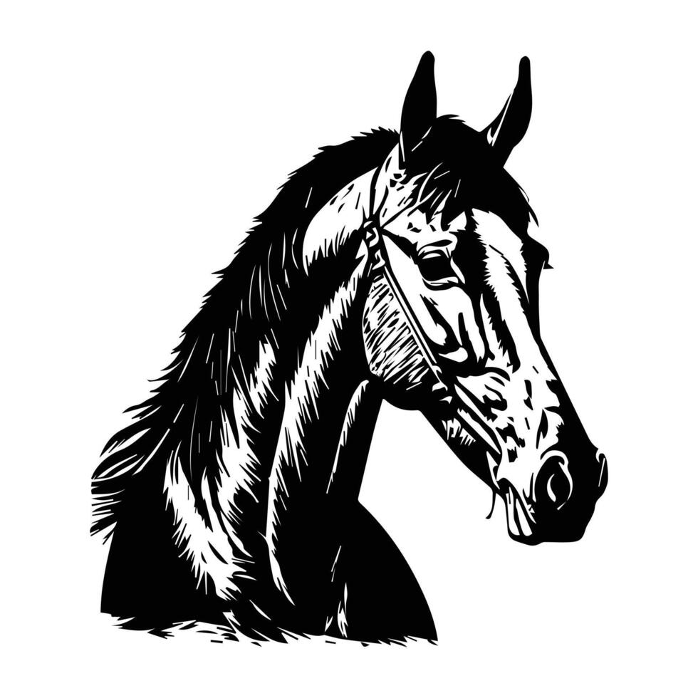 cheval silhouette animal noir les chevaux graphique vecteur illustration