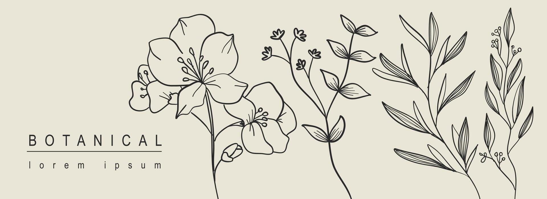 botanique abstrait Contexte avec floral ligne art conception. horizontal la toile bannière avec minimal composition de fleur fleurs sur brindilles, herbes et feuilles sur branches collection. vecteur illustration.