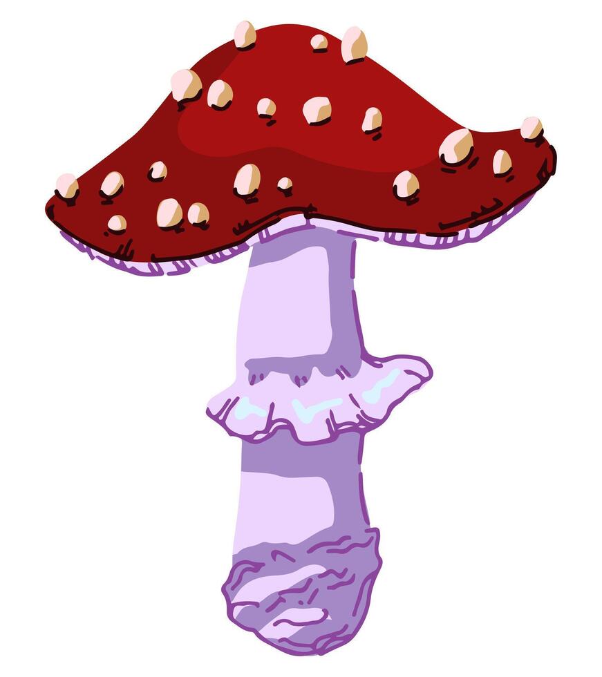 poison champignon amanite muscaria. mouche agaric, champignon dans abstrait style. Célibataire moderne clipart isolé sur blanc Contexte. contemporain vecteur illustration.