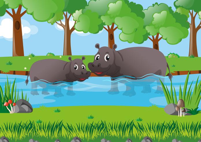 Deux hippopotames dans la rivière vecteur