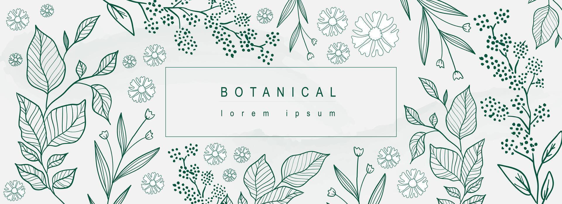 botanique abstrait Contexte avec floral ligne art conception. horizontal la toile bannière dans minimal style avec différent vert feuilles, plante brindilles, épanouissement fleurs et fleurs sauvages. vecteur illustration.