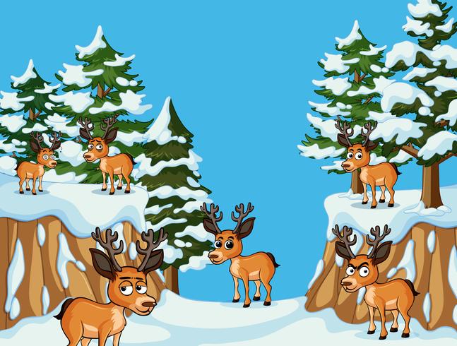 Nombreux cerfs dans la montagne de neige vecteur