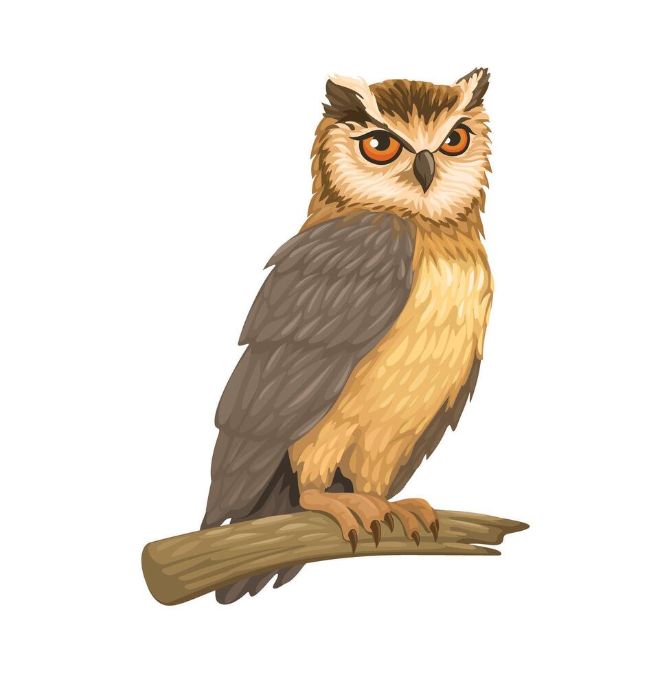 hibou oiseau animal illustration vecteur