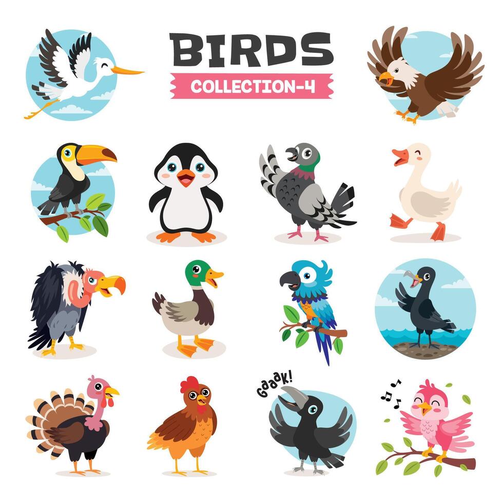 ensemble de divers dessin animé des oiseaux vecteur