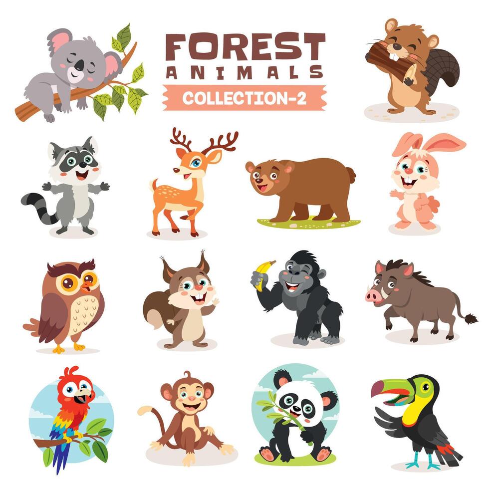ensemble de divers forêt animaux vecteur