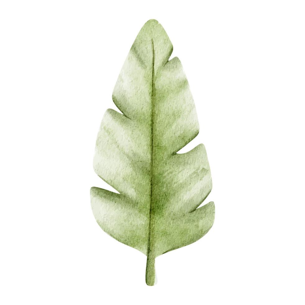 peu paume arbre. isolé main tiré aquarelle illustration. une clipart de tropical feuilles de banane paume pour enfants invitation cartes, des soirées, bébé douche, décoration de des gamins pièces vecteur