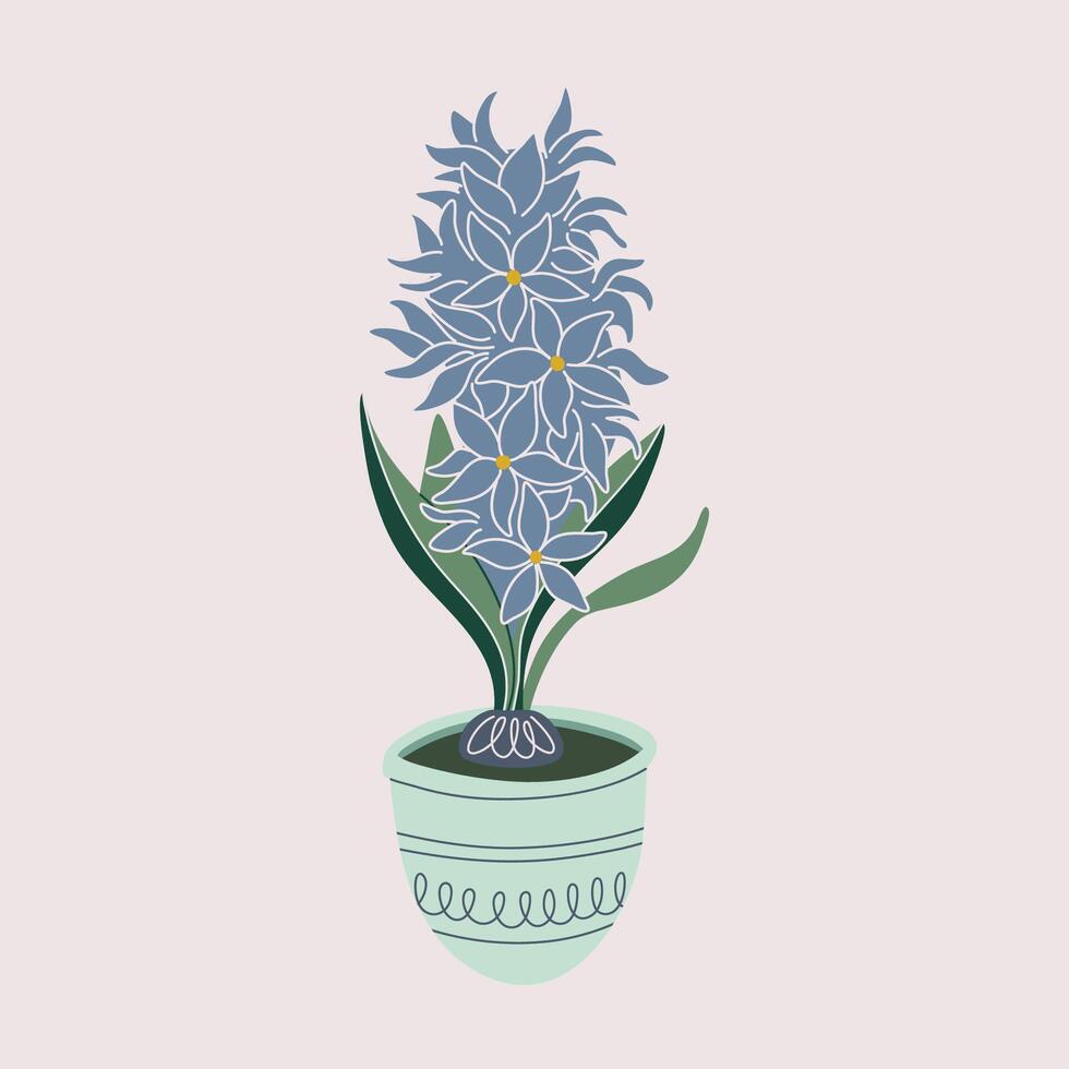 jacinthe grandit de une ampoule dans pot de fleur. Frais fleurit, mis en pot jacinthe plante d'appartement. magnifique printemps fleur, jacinthe arrangement. plat style vecteur illustration.