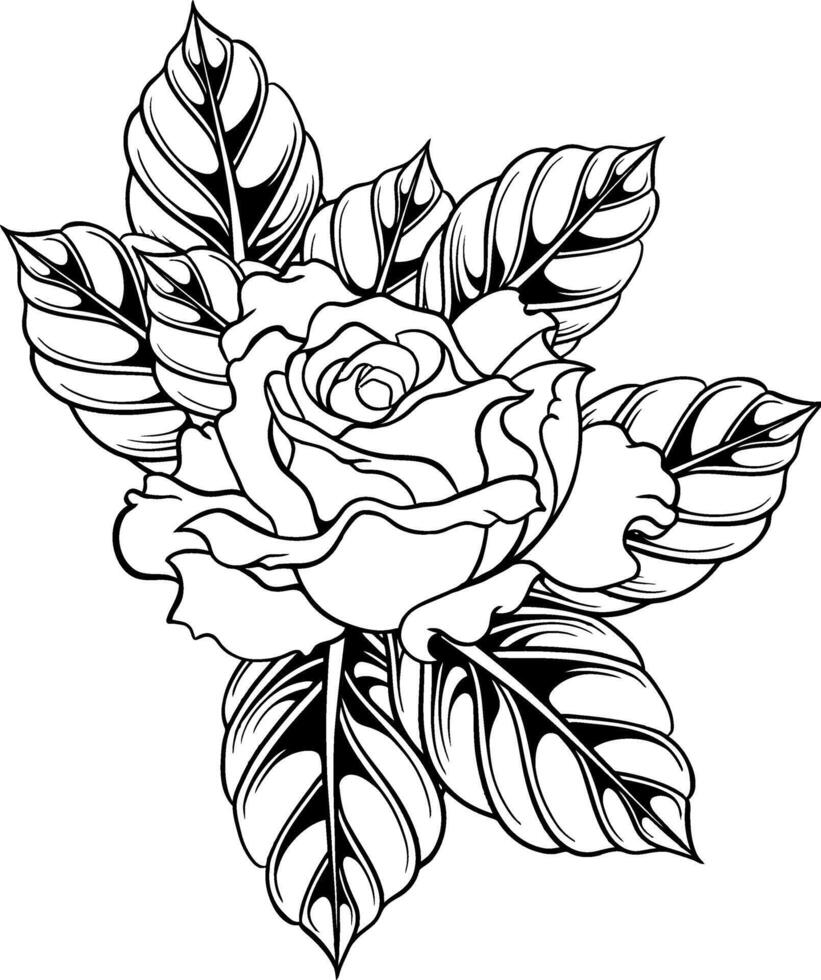 Rose fleur ligne art illustration vecteur