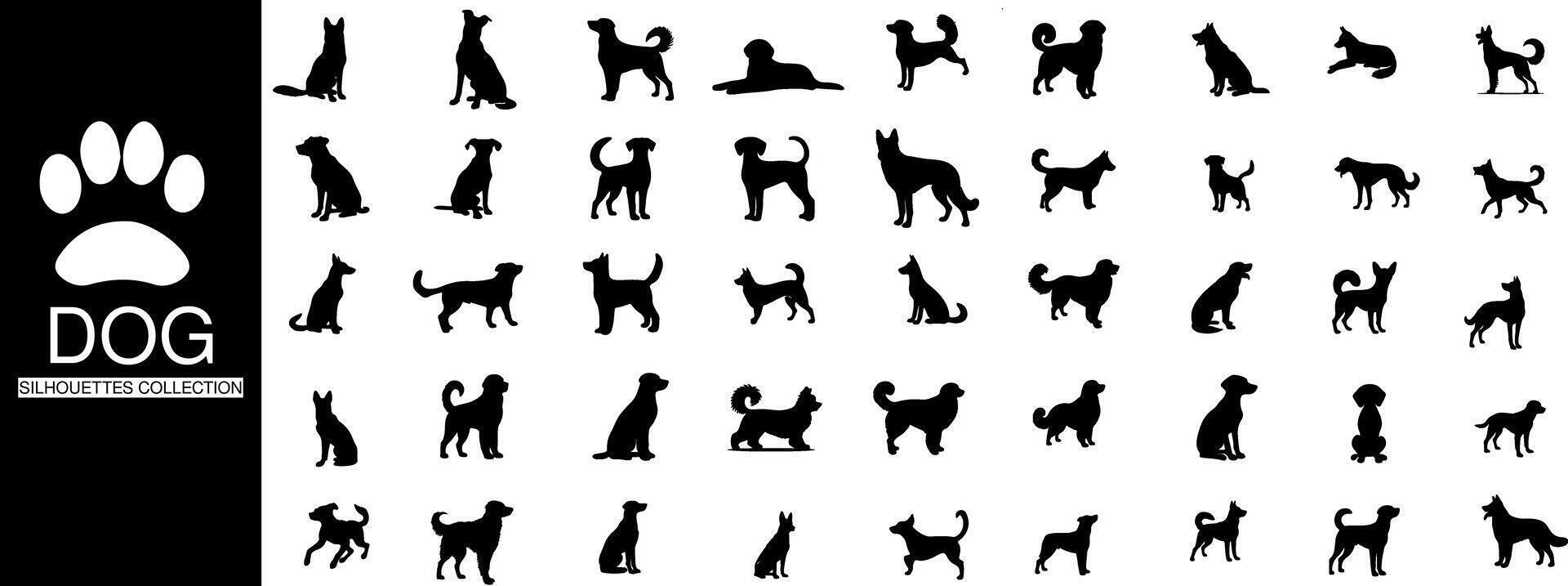 collection de chien silhouettes, Capturer le essence et la diversité de divers pose dans une minimaliste style vecteur