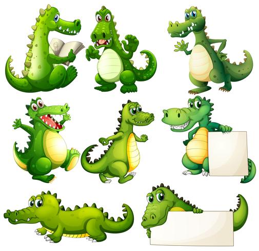 Huit crocodiles effrayants vecteur