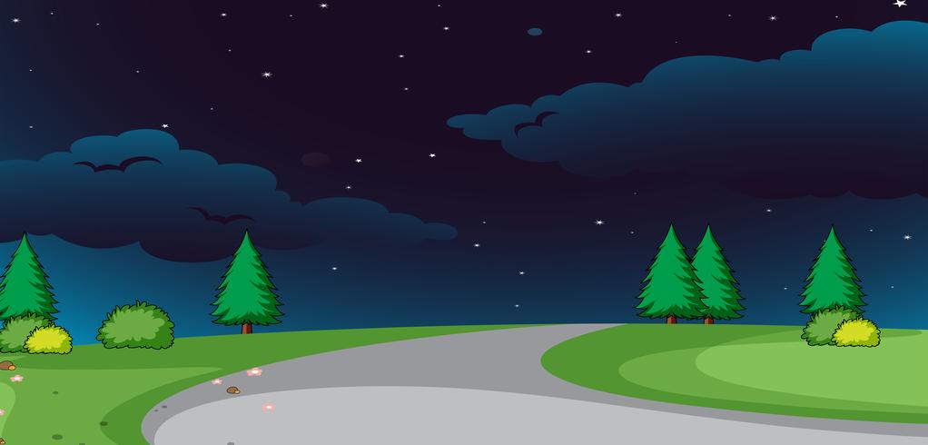 Une route de la nature au fond de la nuit vecteur