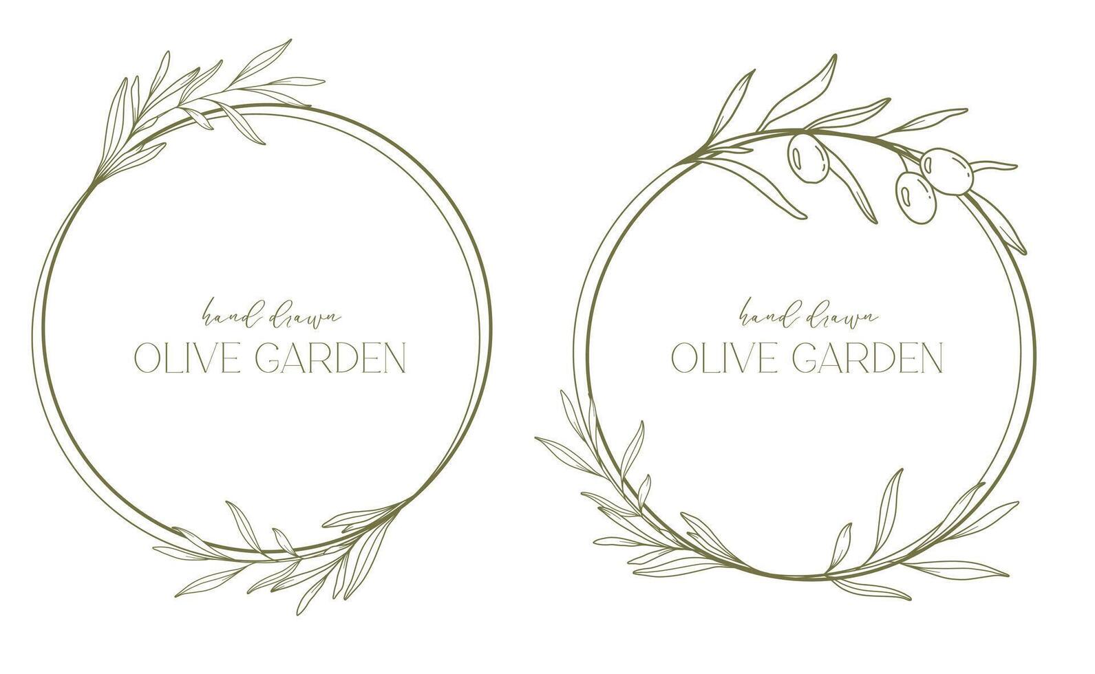 Olives ligne dessin. noir et blanc olive Cadre. olive couronne isolé. floral ligne art. bien ligne olive illustration. noir et blanc olive branches. main tiré olive. mariage invitation verdure vecteur