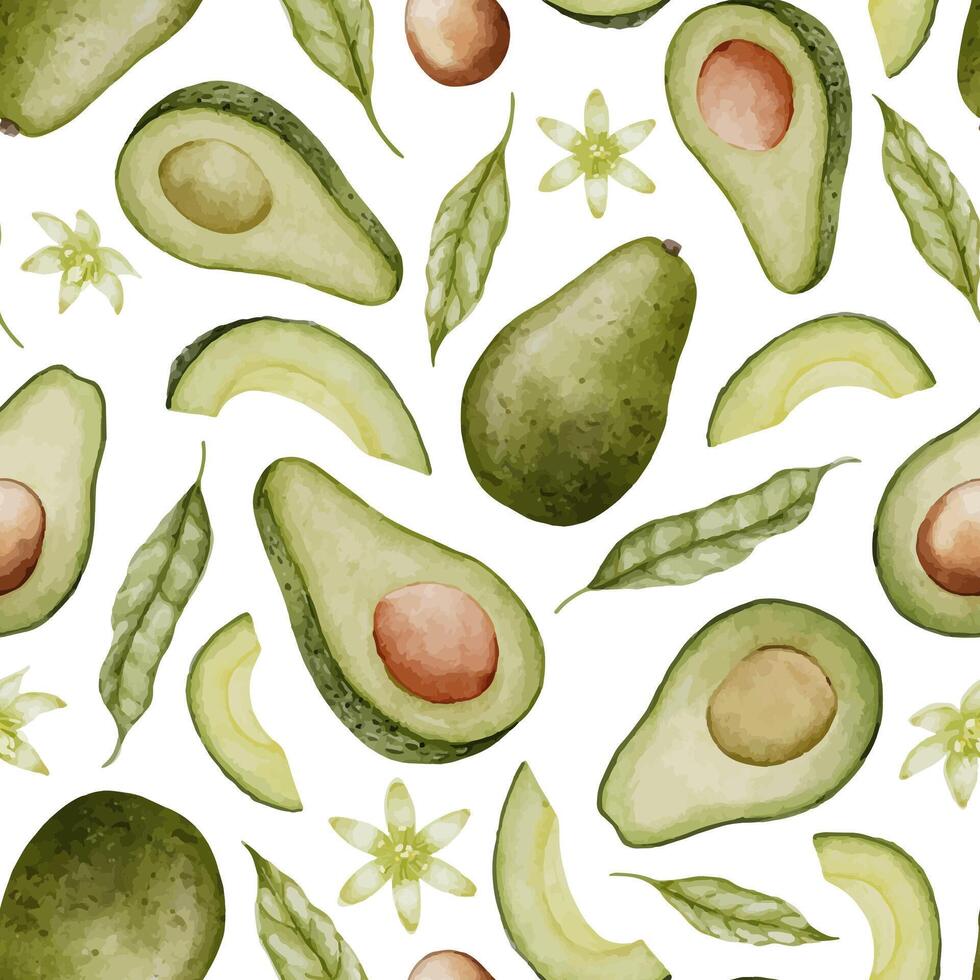 Avocat sans couture modèle. aquarelle Contexte de vert aliments. main tiré isolé illustration. dessin de fruit avec une fleur. botanique La peinture de légume et feuilles. vecteur