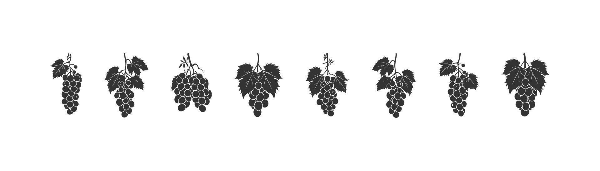 bouquet de les raisins silhouette icône ensemble. vecteur illustration conception.