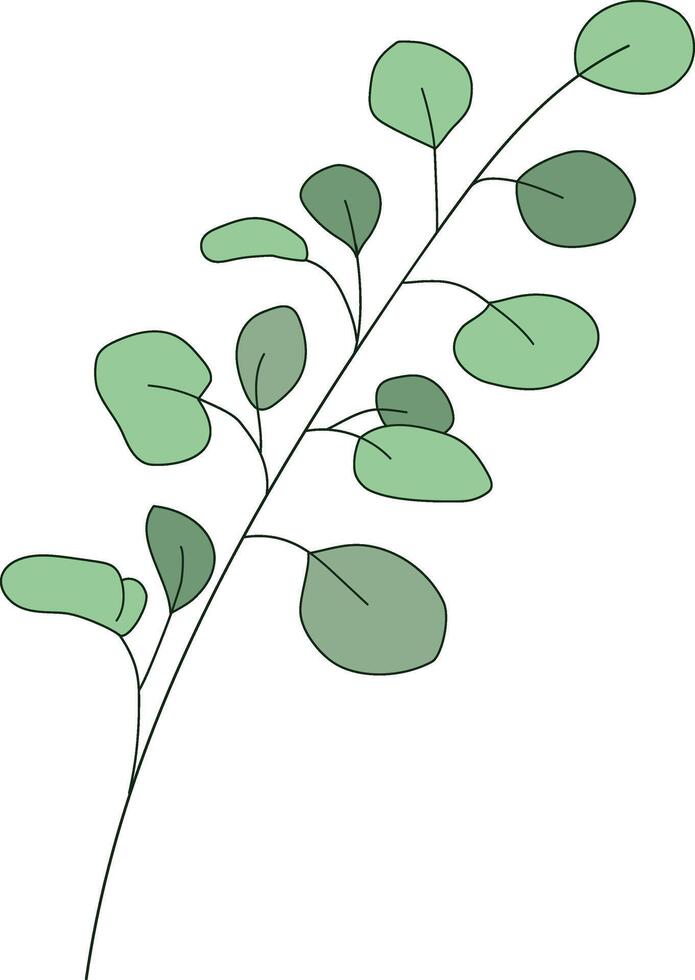 Frais eucalyptus branche avec vert feuilles isolé dans blanc Contexte vecteur