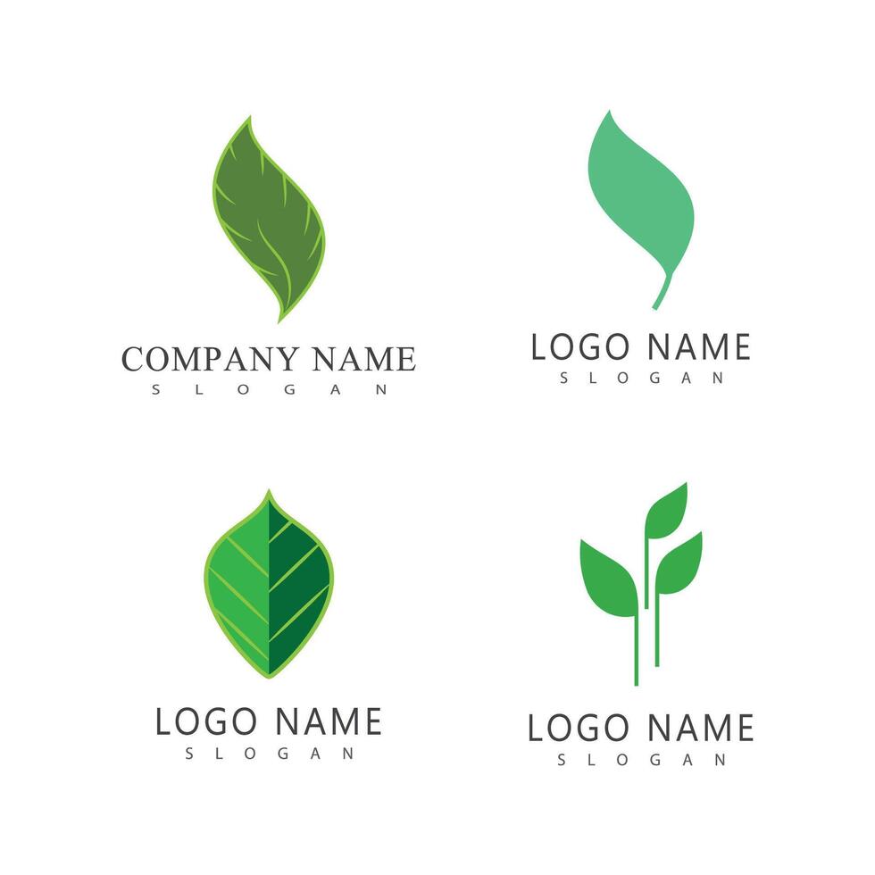 vert feuille logo vecteur élément symbole modèle