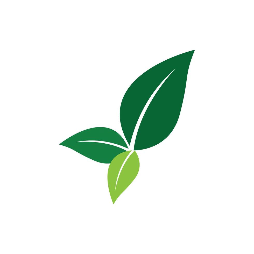vert feuille logo vecteur modèle élément symbole conception