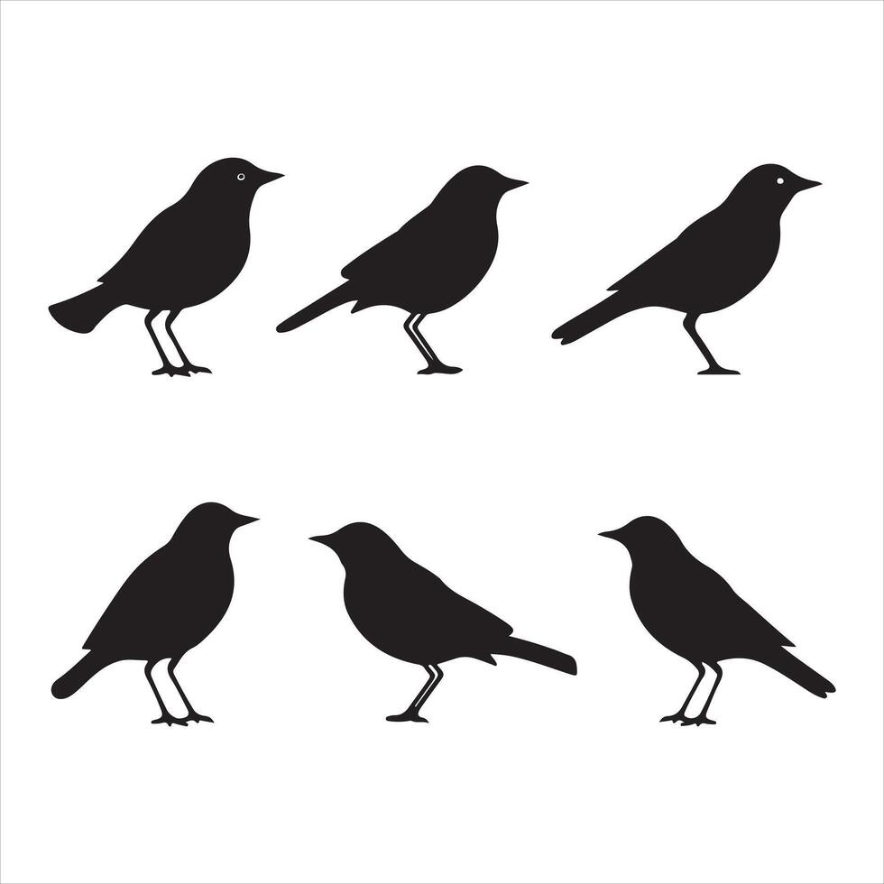 une noir silhouette alouette oiseau ensemble vecteur